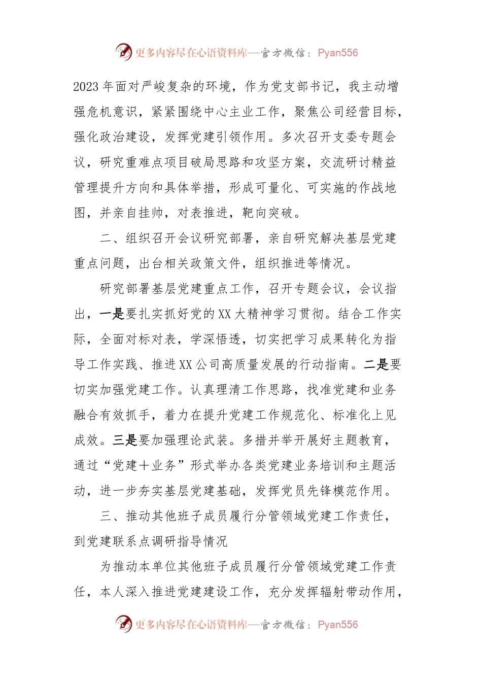 XXX有限公司党支部书记履行抓基层党建责任情况说明.docx_第2页