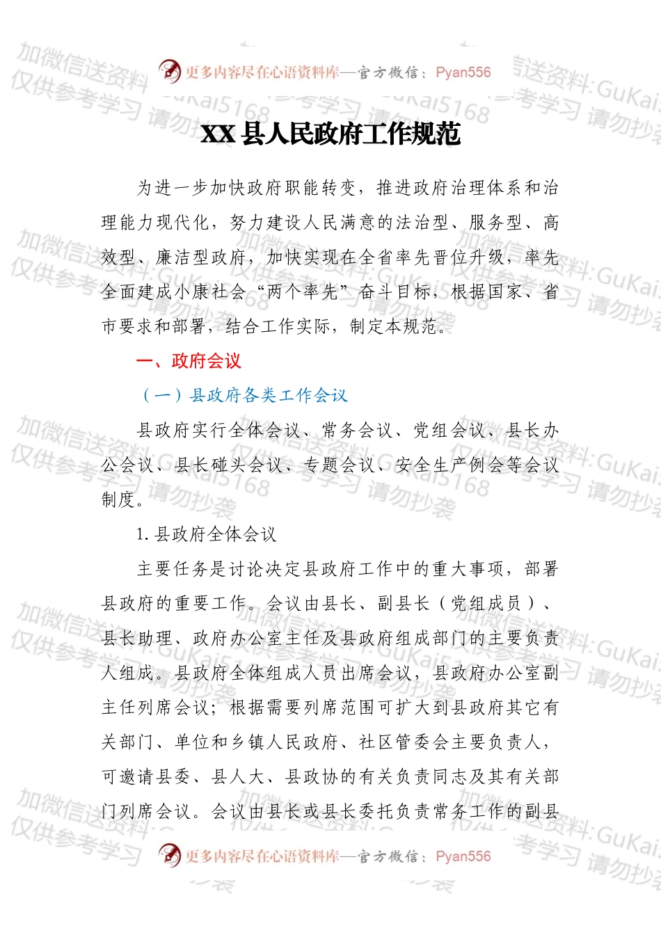 XX县人民政府工作规范.docx_第1页