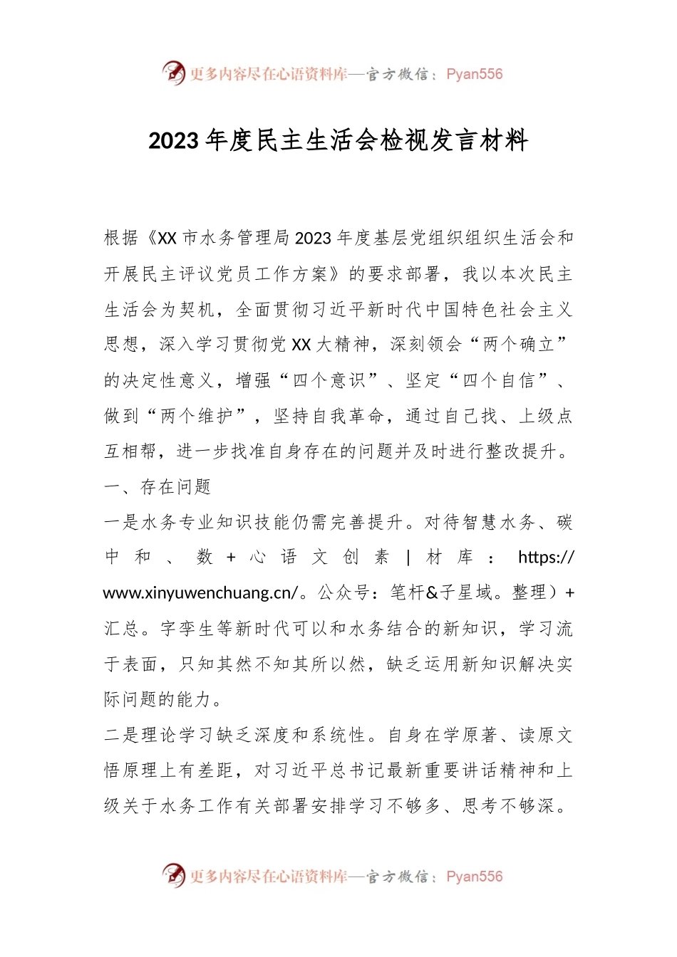 2023年度民主生活会检视 发言材料.docx_第1页