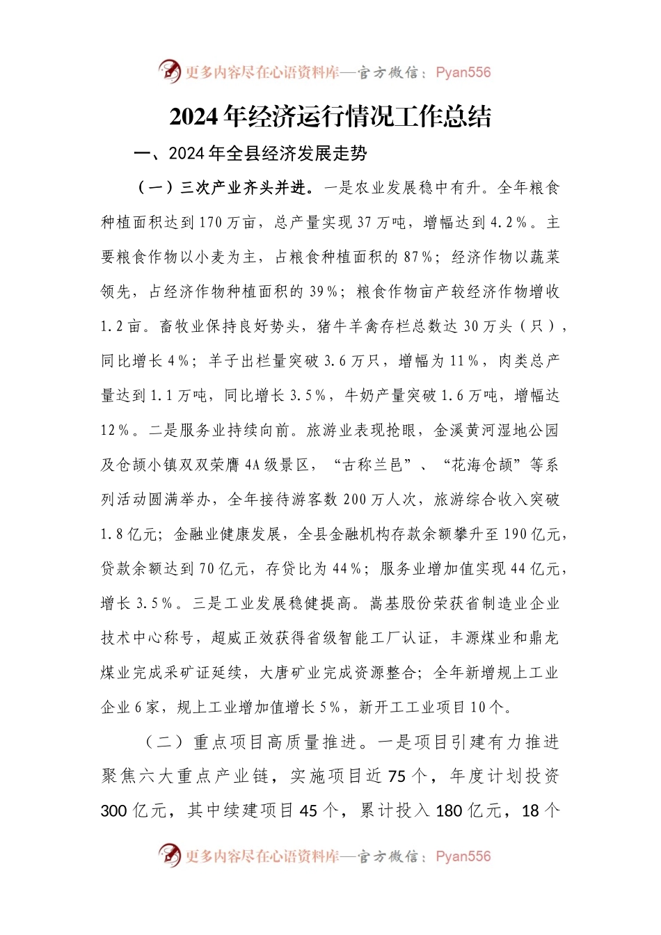 2024年经济运行情况工作总结.docx_第1页