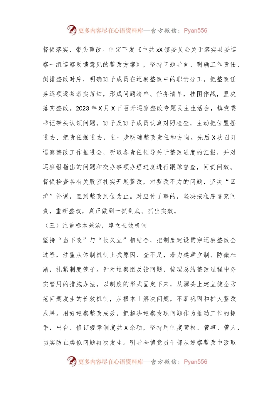 2024乡镇部门巡察整改报告.docx_第2页