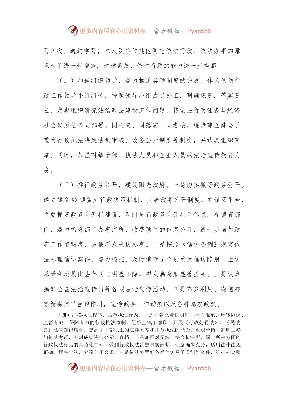 20XX年XX镇党委副书记、镇长述法报告.docx_第2页