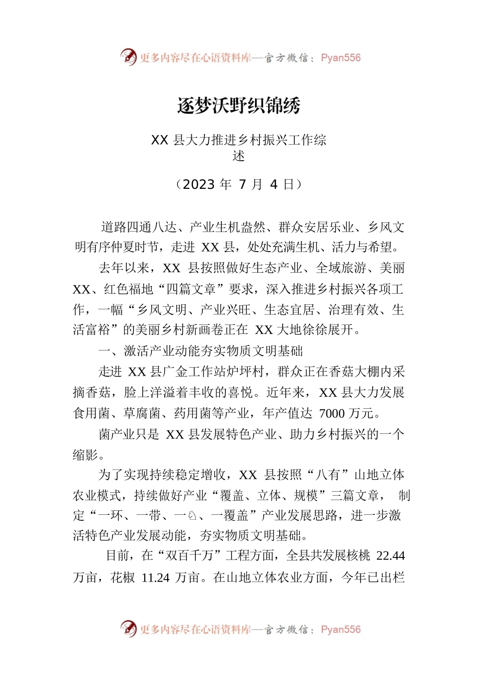 XX县大力推进乡村振兴工作综述.docx_第1页