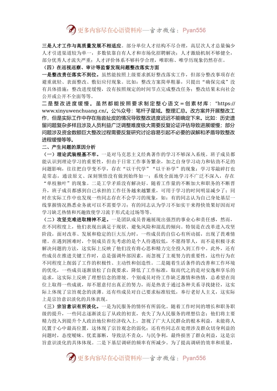 2024年巡视反馈意见整改专题民主生活会班子对照检查材料.docx_第2页