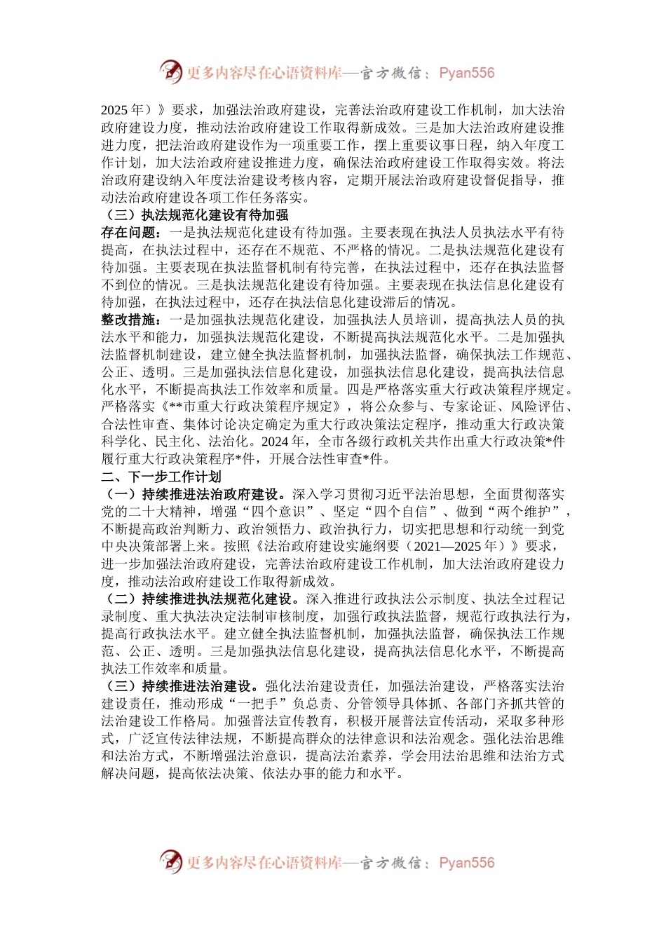 2024年度主要负责人述法问题清单整改报告.docx_第2页