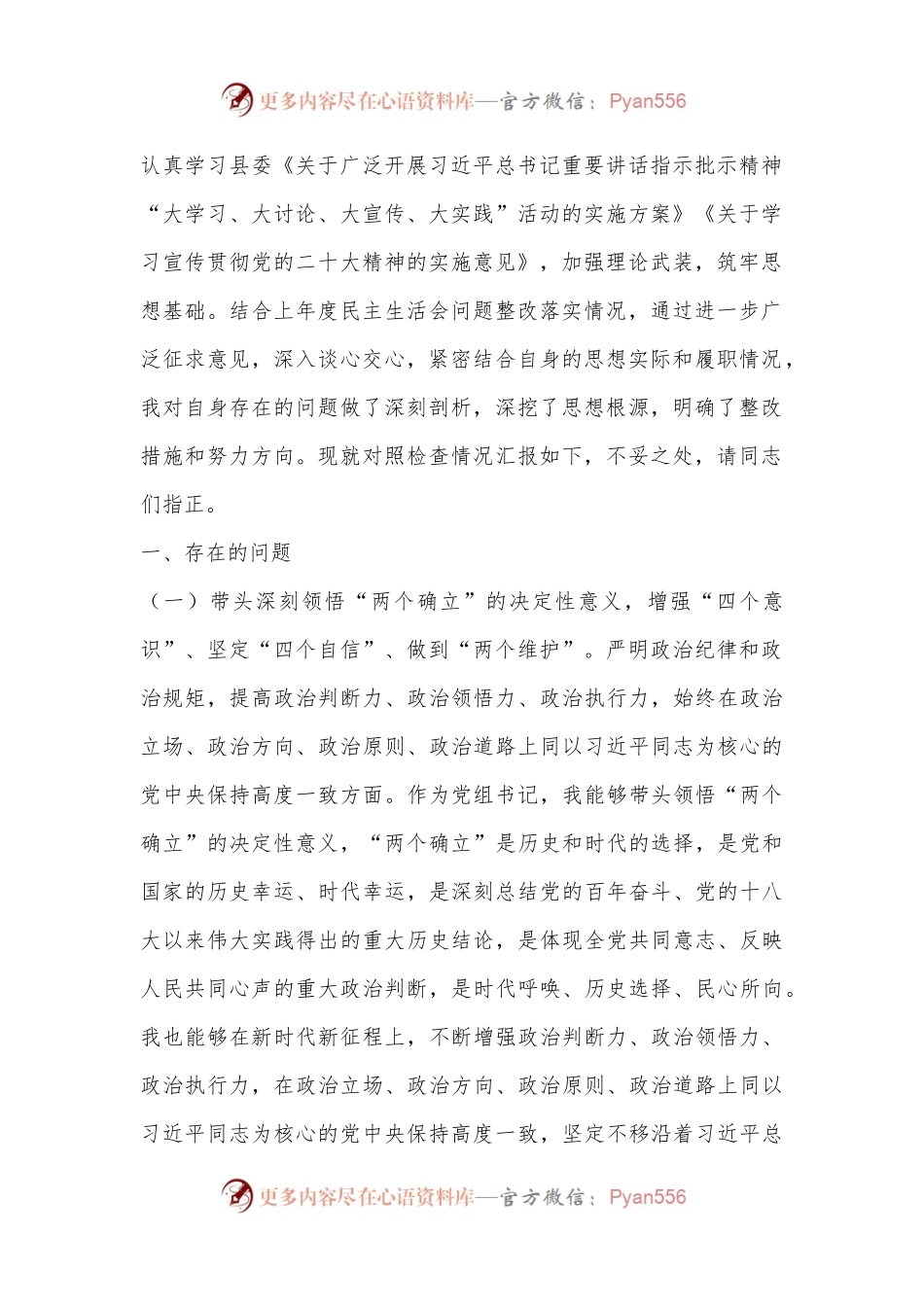 XX县卫生健康局局长2022年民主生活会个人对照检查材料.docx_第2页