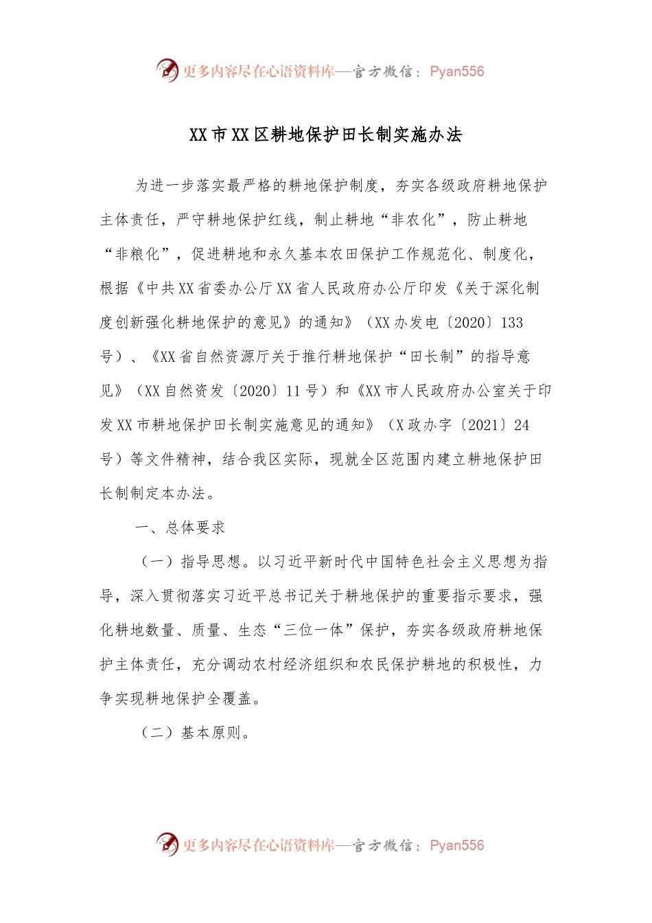 XX市XX区耕地保护田长制实施办法.docx_第1页