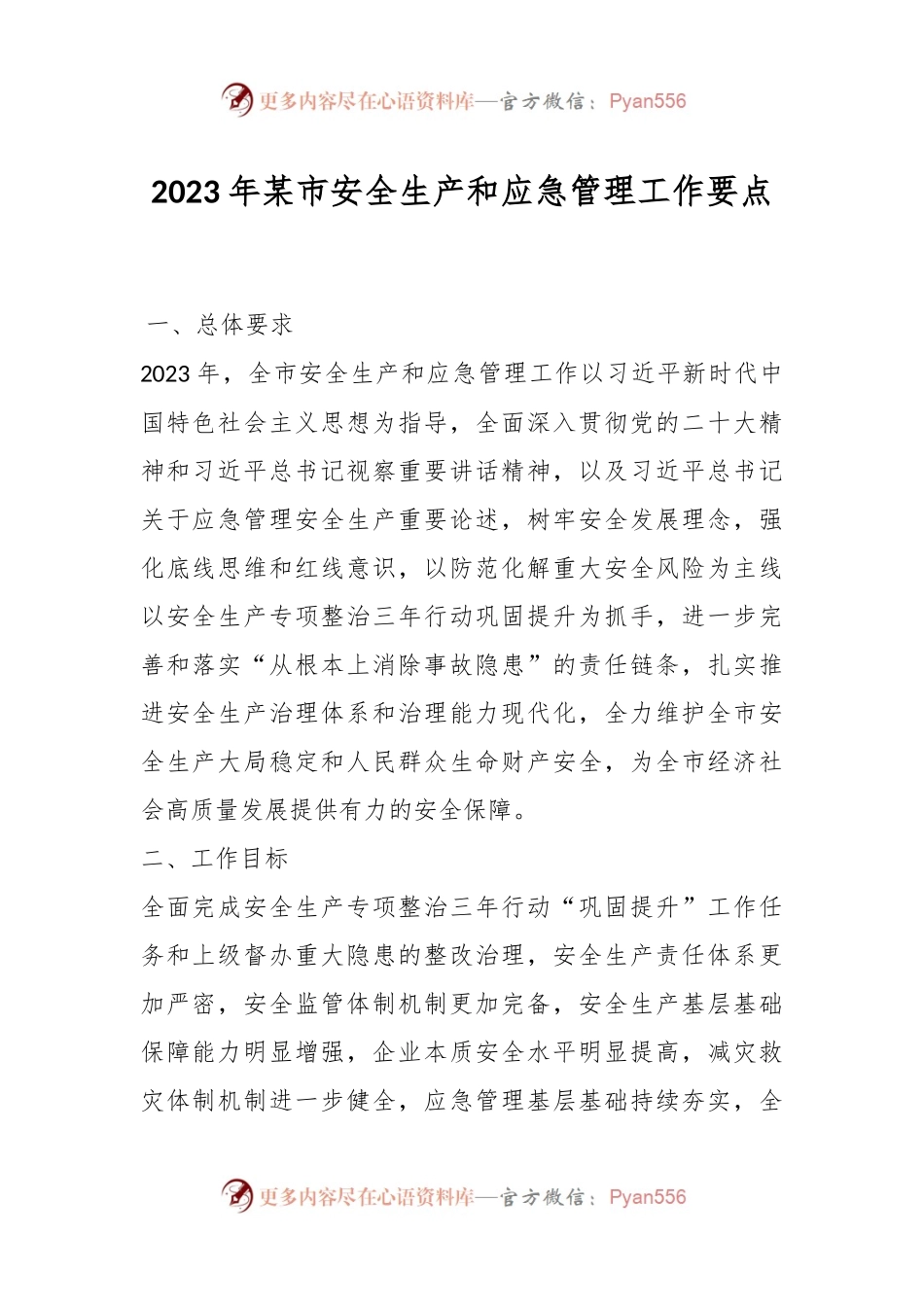 2023年某市安全生产和应急管理工作要点.docx_第1页