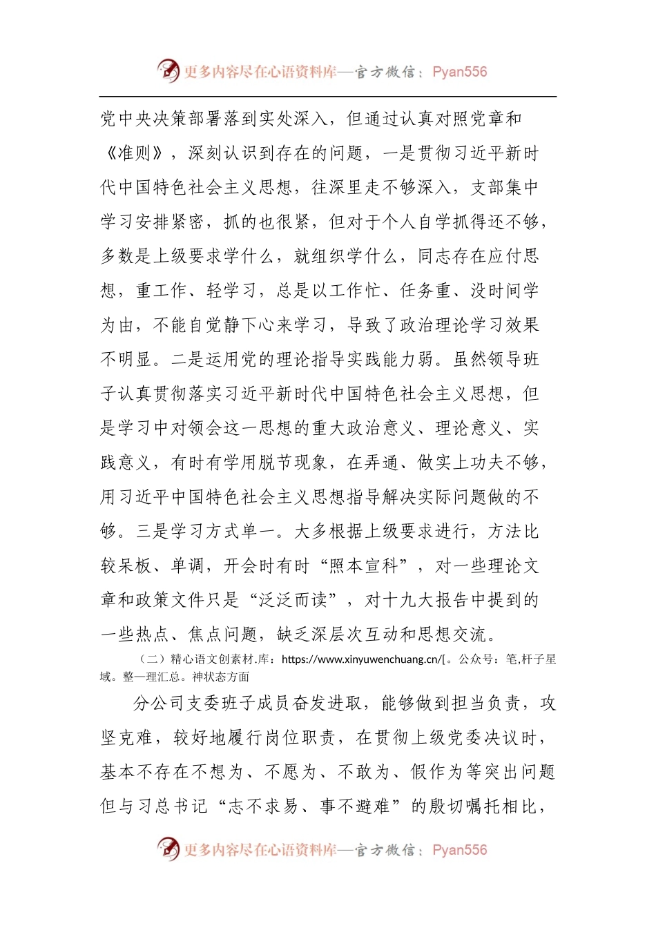 20XX年分公司组织生活会班子对照检查材料.docx_第2页