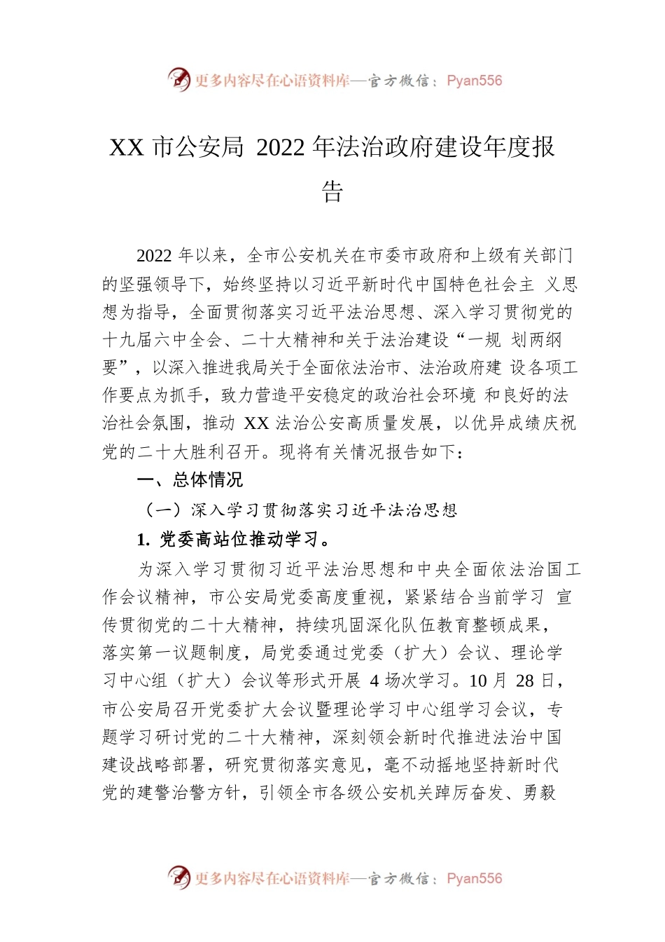 XX市公安局2022年法治政府建设年度报告（20221124）.docx_第1页