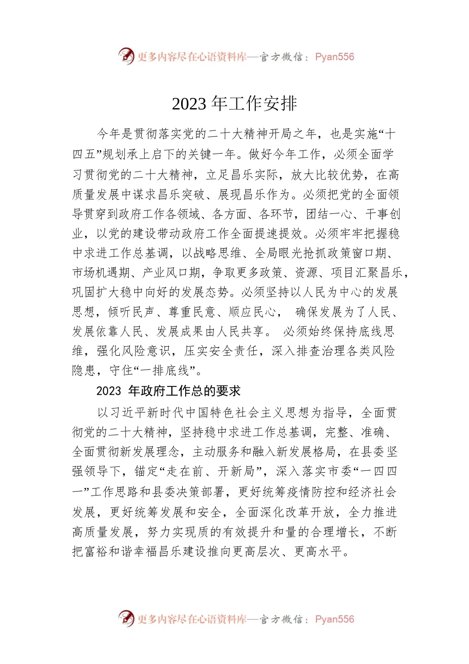 2023年工作安排.docx_第1页
