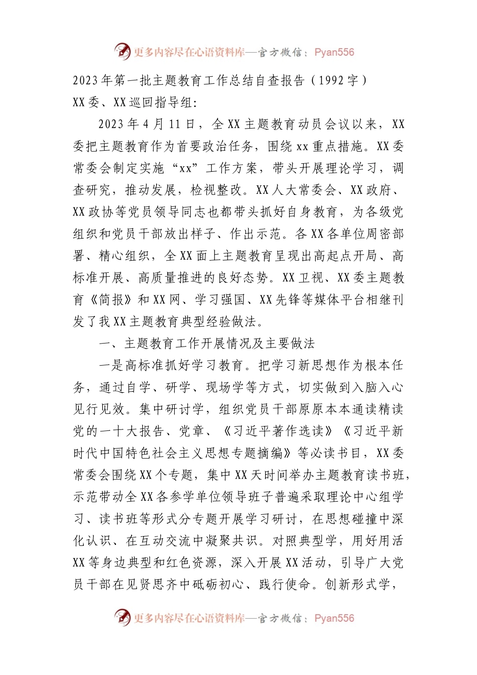 2023年第一批主题教育工作总结自查报告.docx_第1页