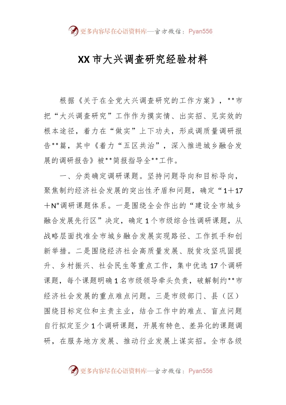 XX市大兴调查研究经验材料.docx_第1页