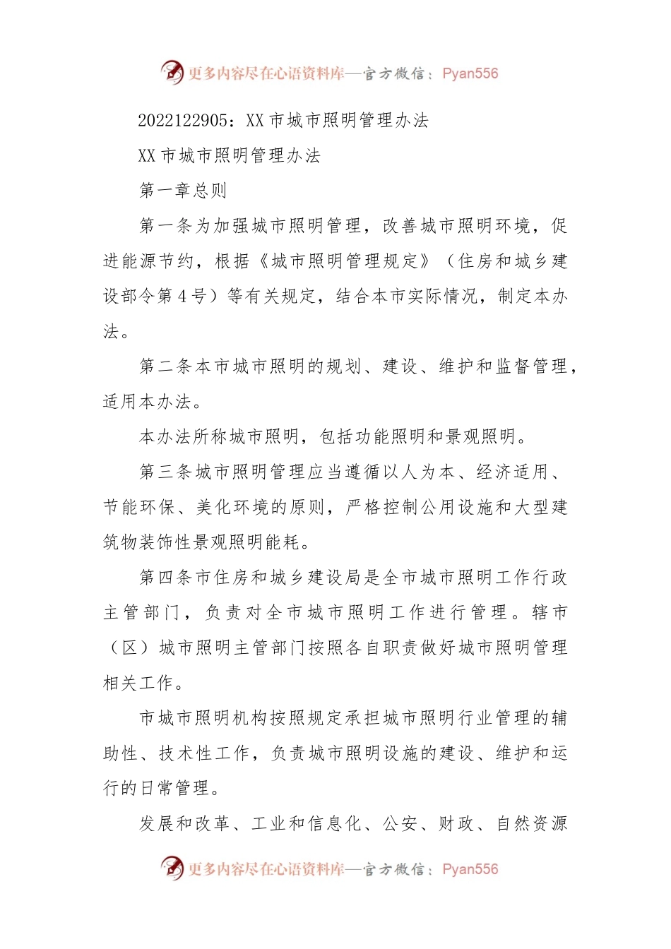 XX市城市照明管理办法.docx_第1页