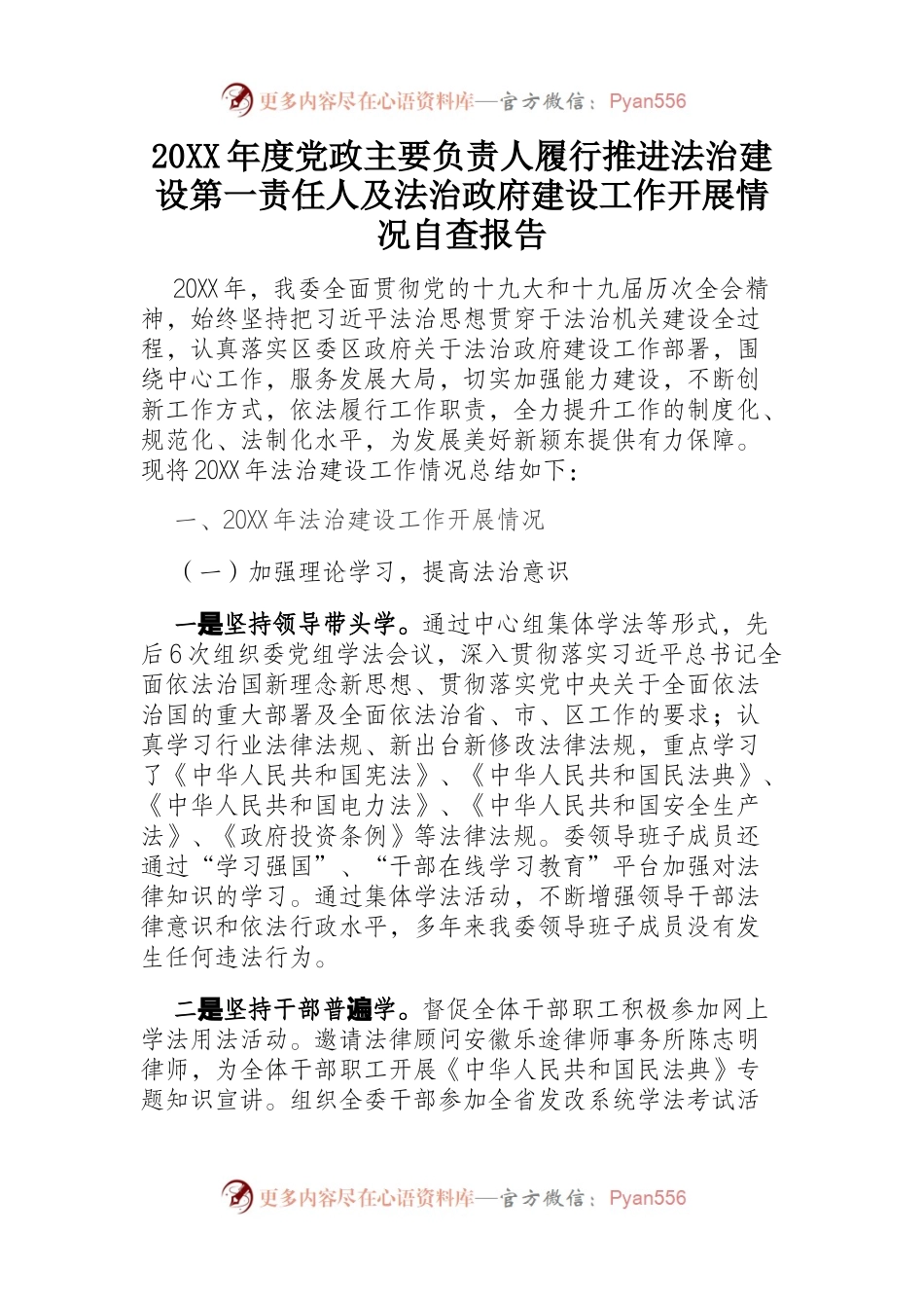 20XX年度党政主要负责人履行推进法治建设第一责任人及法治政府建设工作开展情况自查报告.docx_第1页
