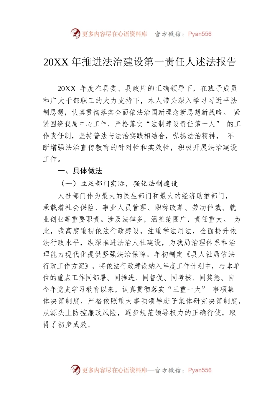20XX年推进法治建设第一责任人述法报告（20220628）.docx_第1页