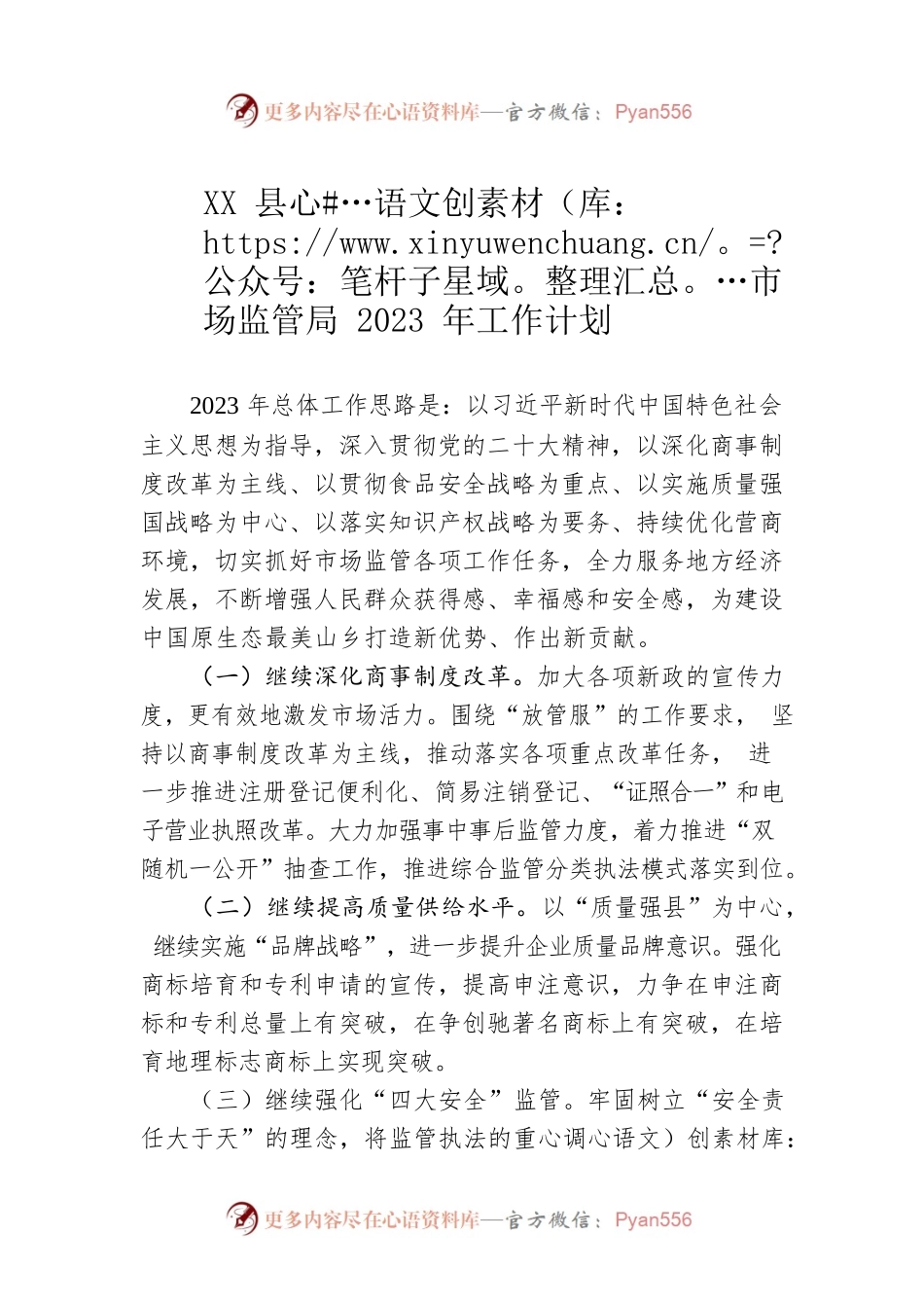 XX县市场监管局2023年工作计划.docx_第1页