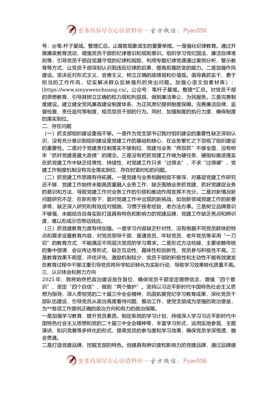 2024年党支部书记抓党建述职报告.docx_第2页