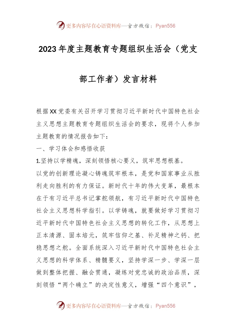 2023年度主题教育专题组织生活会（党支部工作者）发言材料.docx_第1页