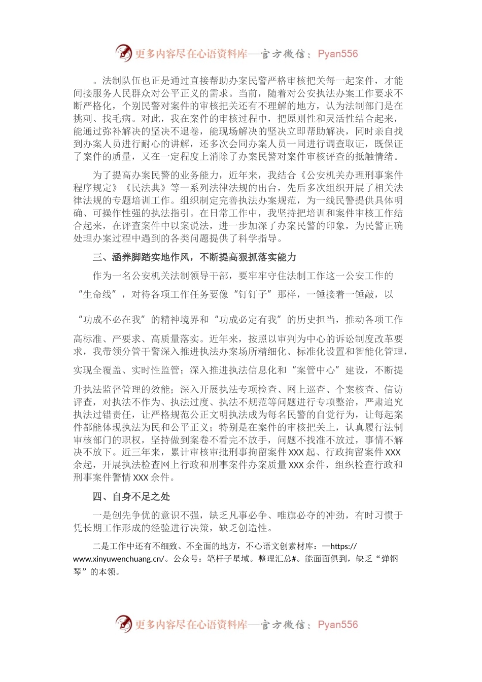 XX市公安局副支队长个人工作总结.docx_第1页