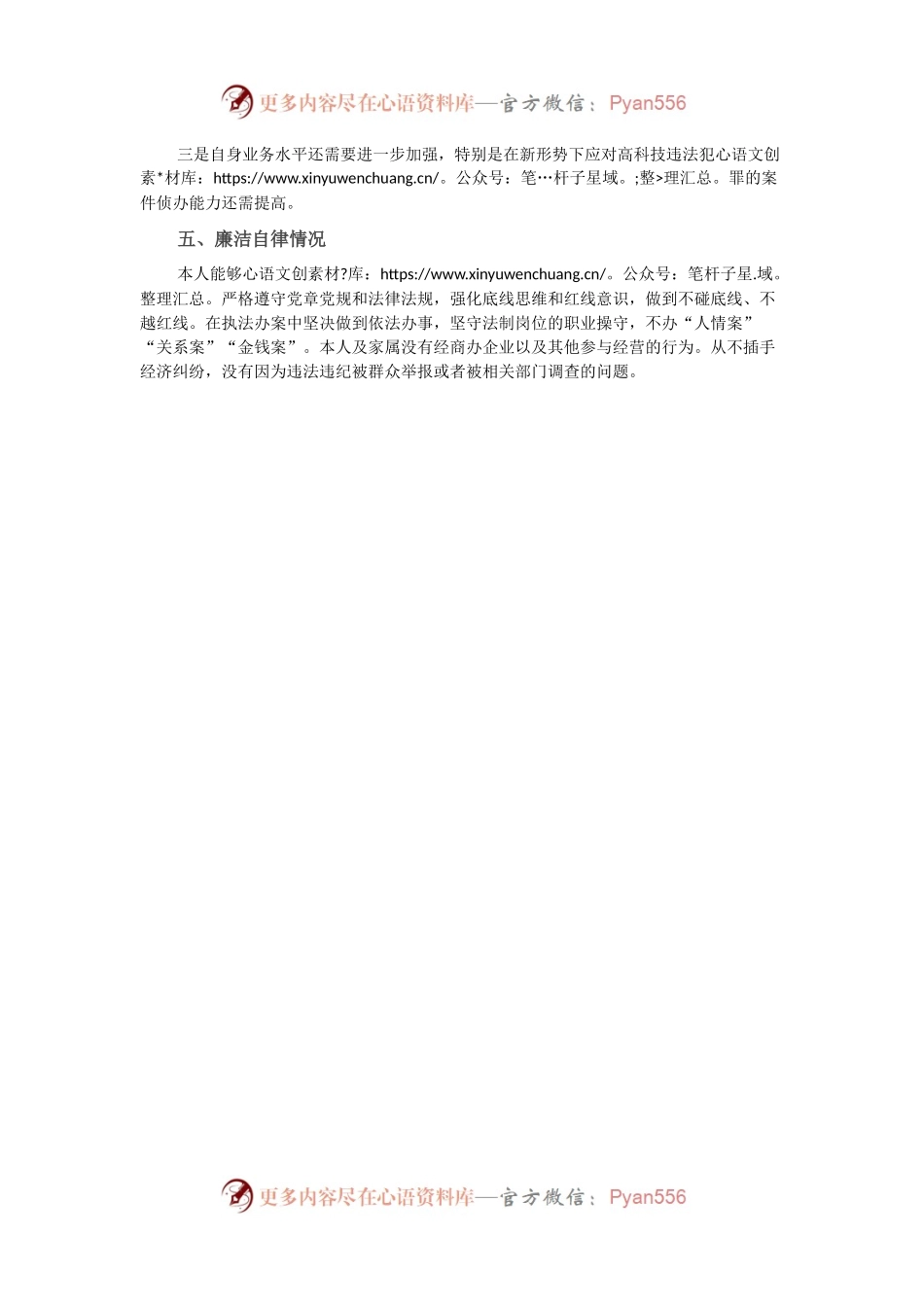XX市公安局副支队长个人工作总结.docx_第2页