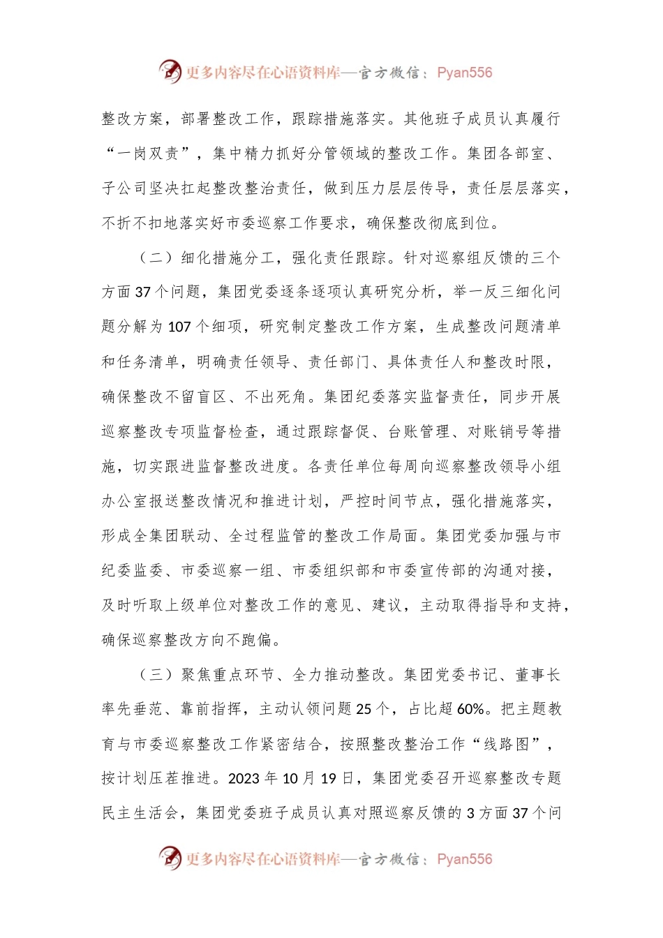 2024企业集团巡查整改工作报告.docx_第2页