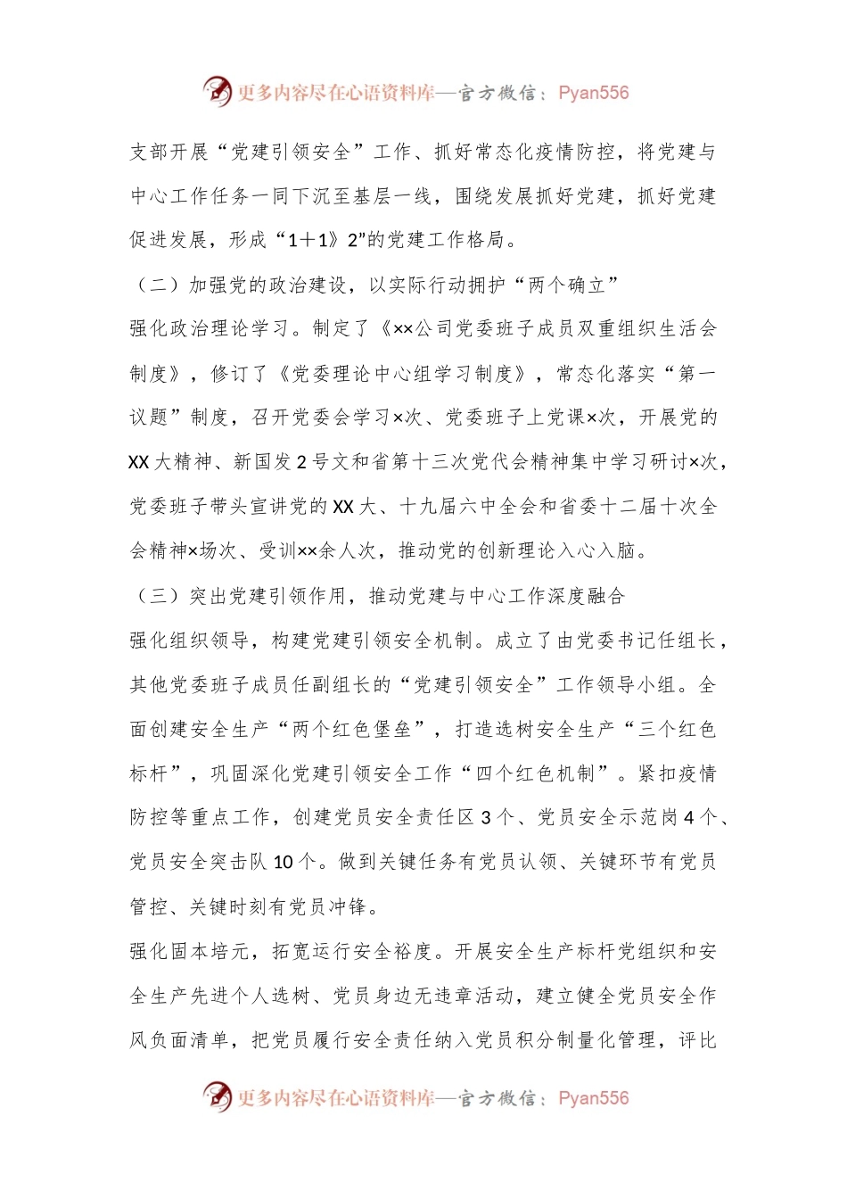 2024年党委书记述职述德述廉报告.docx_第2页