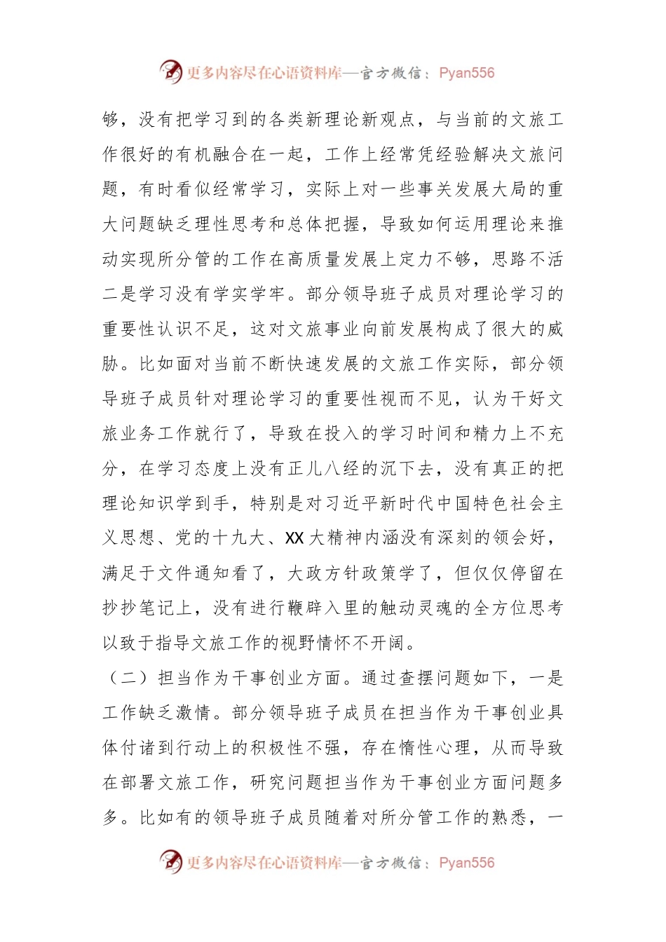 2023年某市文化和旅游局领导班子党性检视剖析材料.docx_第2页