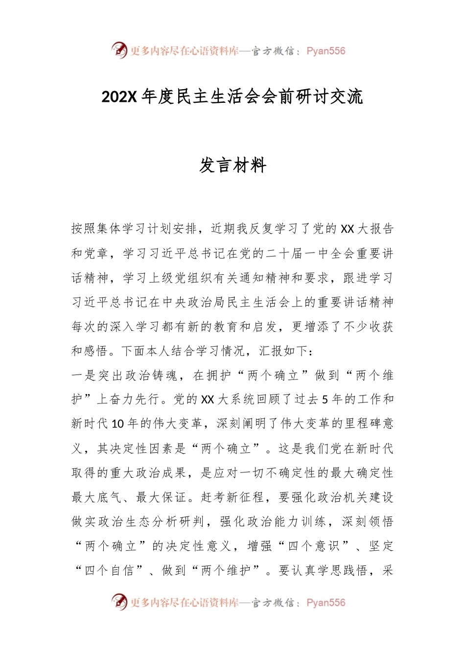 202X年度民主生活会会前研讨交流发言材料.docx_第1页