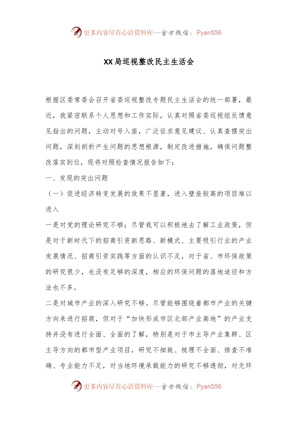 XX局巡视整改民主生活会.docx_第1页