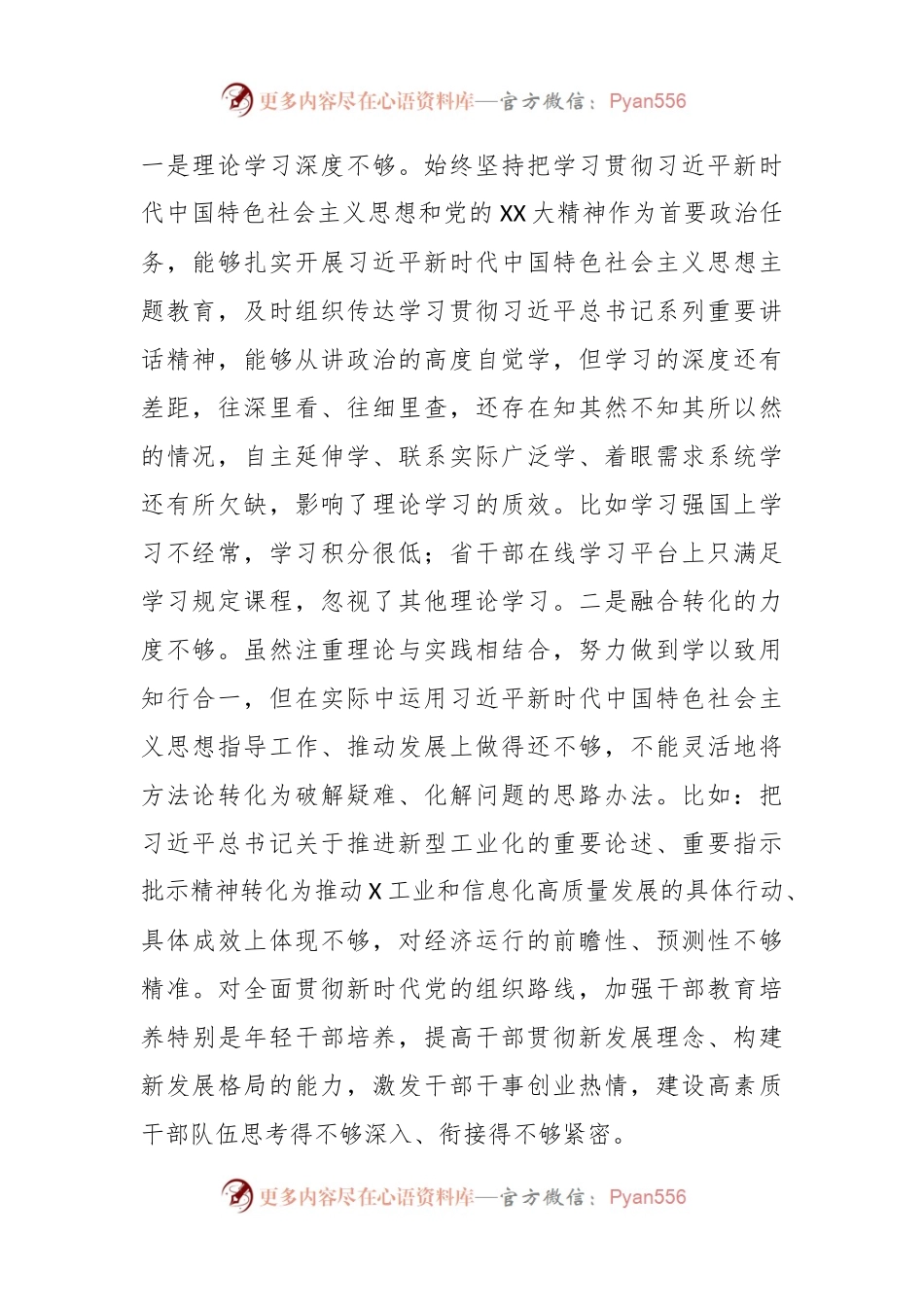 2023年度主题教育专题民主生活会个人对照检查（6）.docx_第2页