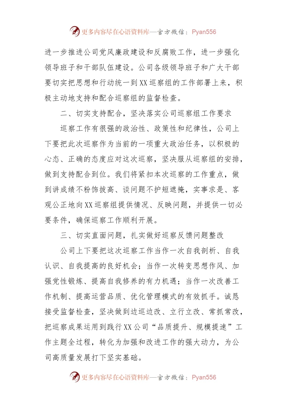 XX公司党委书记代表公司党委配合巡察工作讲话.docx_第2页