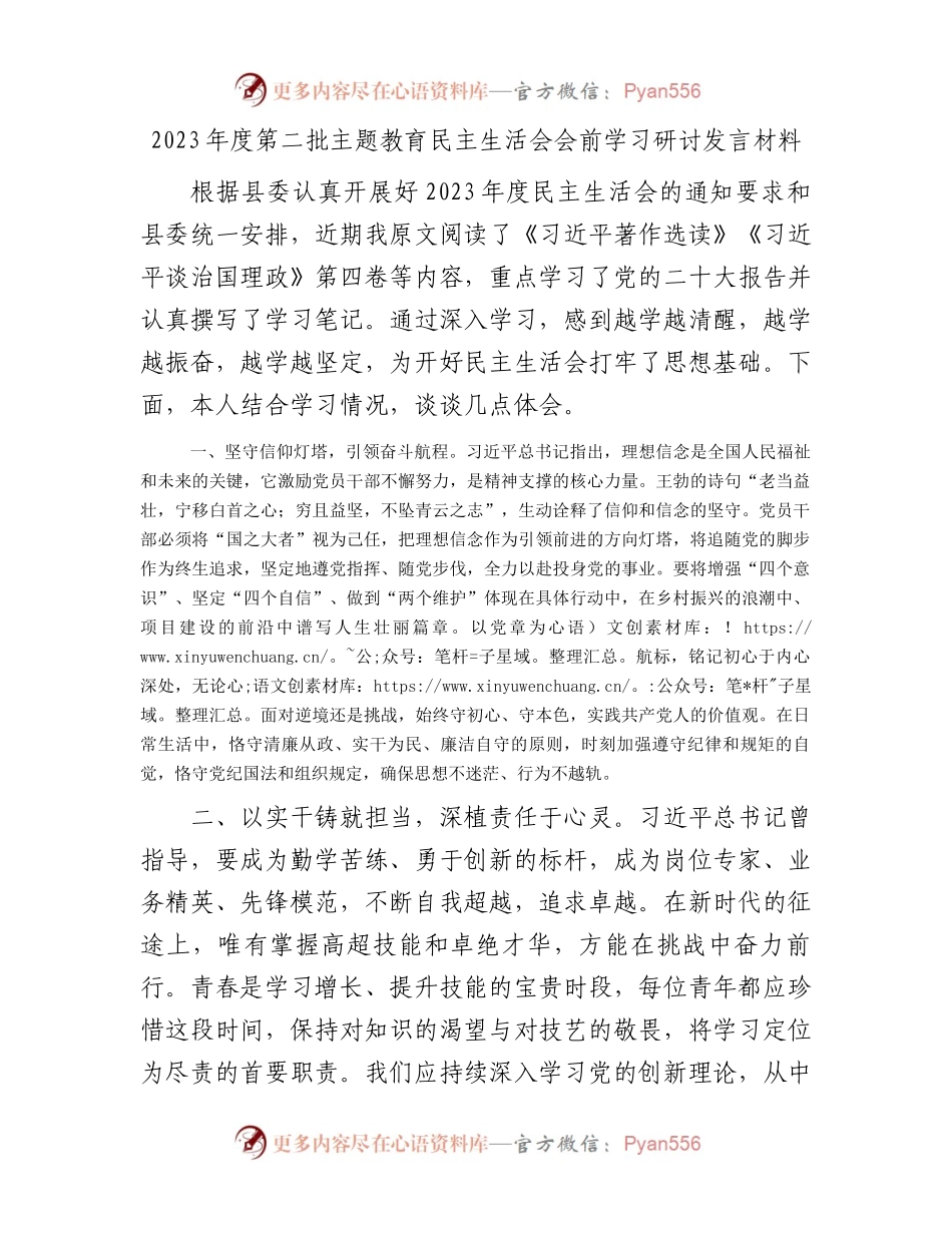 2023年度第二批主题教育民主生活会会前学习研讨发言材料.docx_第1页