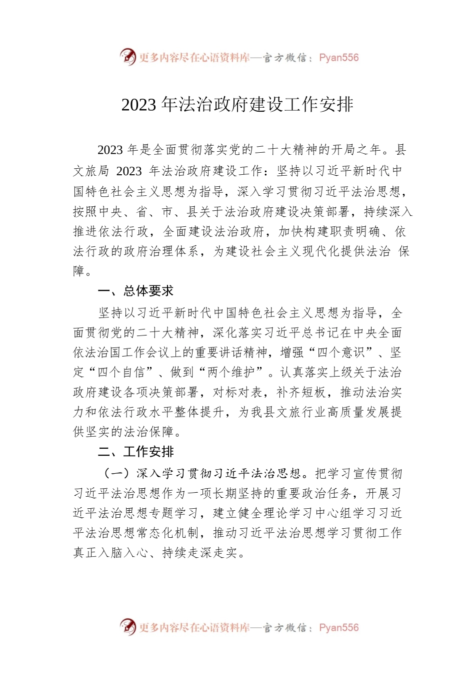2023年法治政府建设工作安排.docx_第1页