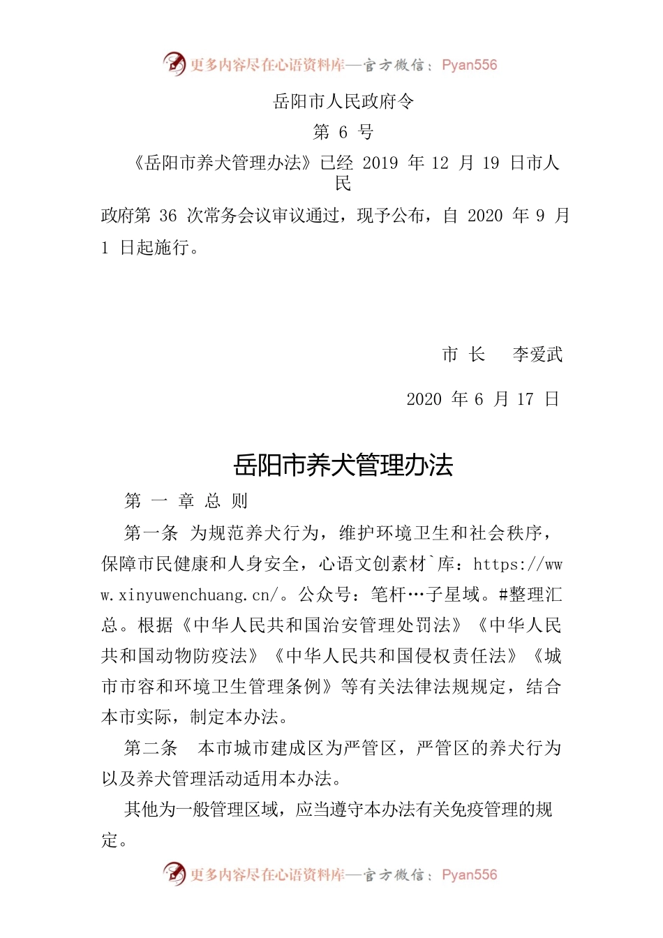 XX市养犬管理办法.docx_第1页
