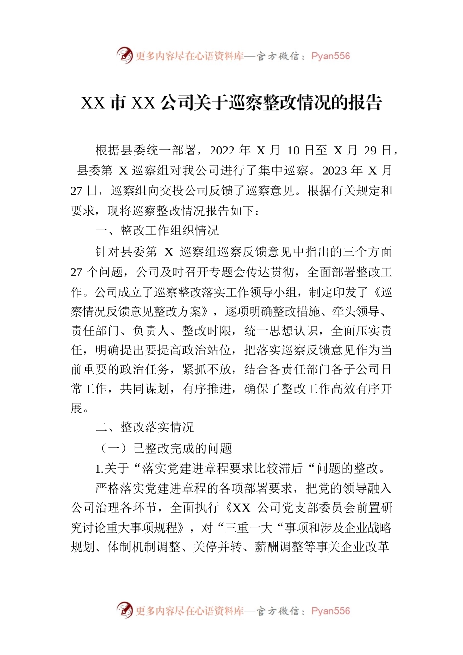 XX市XX公司关于巡察整改情况的报告.docx_第1页