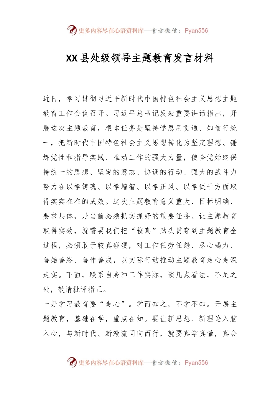 XX县处级领导主题教育发言材料.docx_第1页