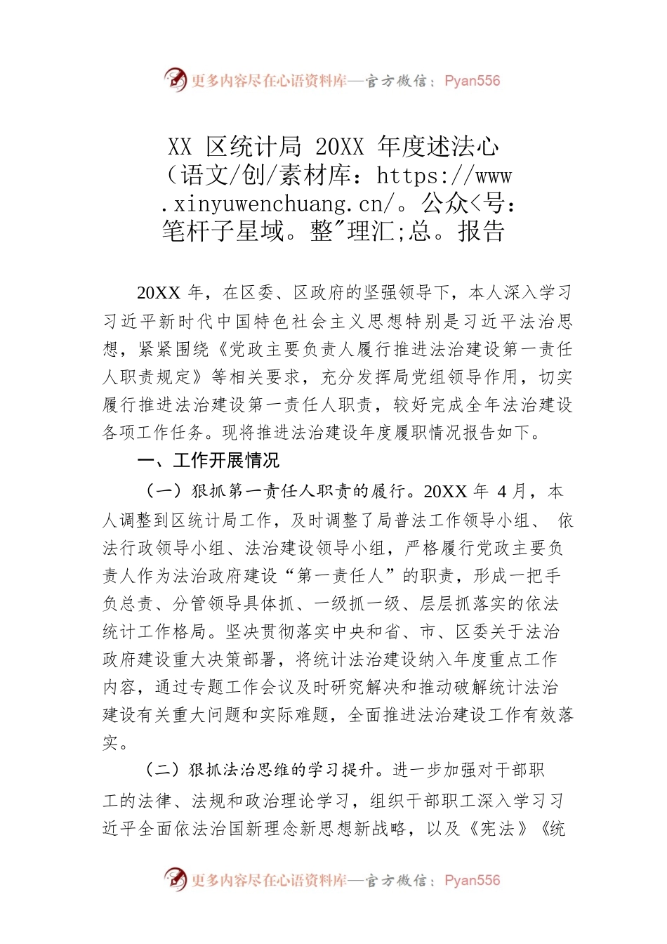 XX区统计局20XX年度述法报告（20220311）.docx_第1页