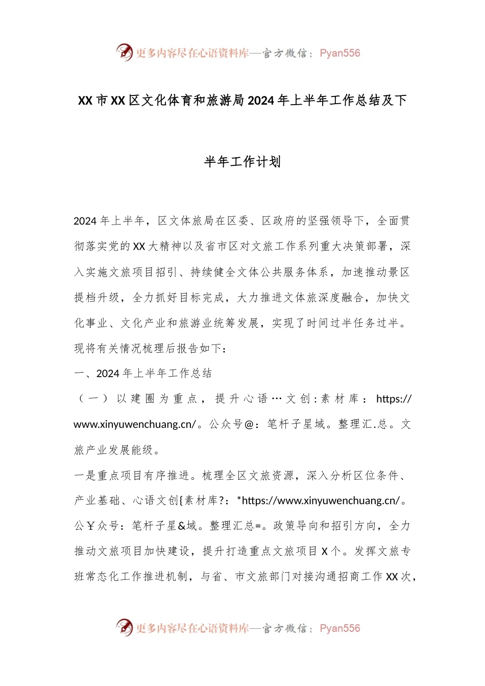 XX市XX区文化体育和旅游局2024年上半年工作总结及下半年工作计划.docx_第1页