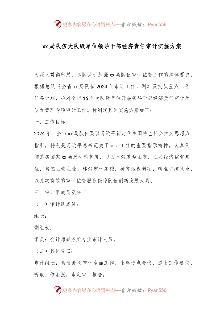 xx局队伍大队级单位领导干部经济责任审计实施方案.docx_第1页