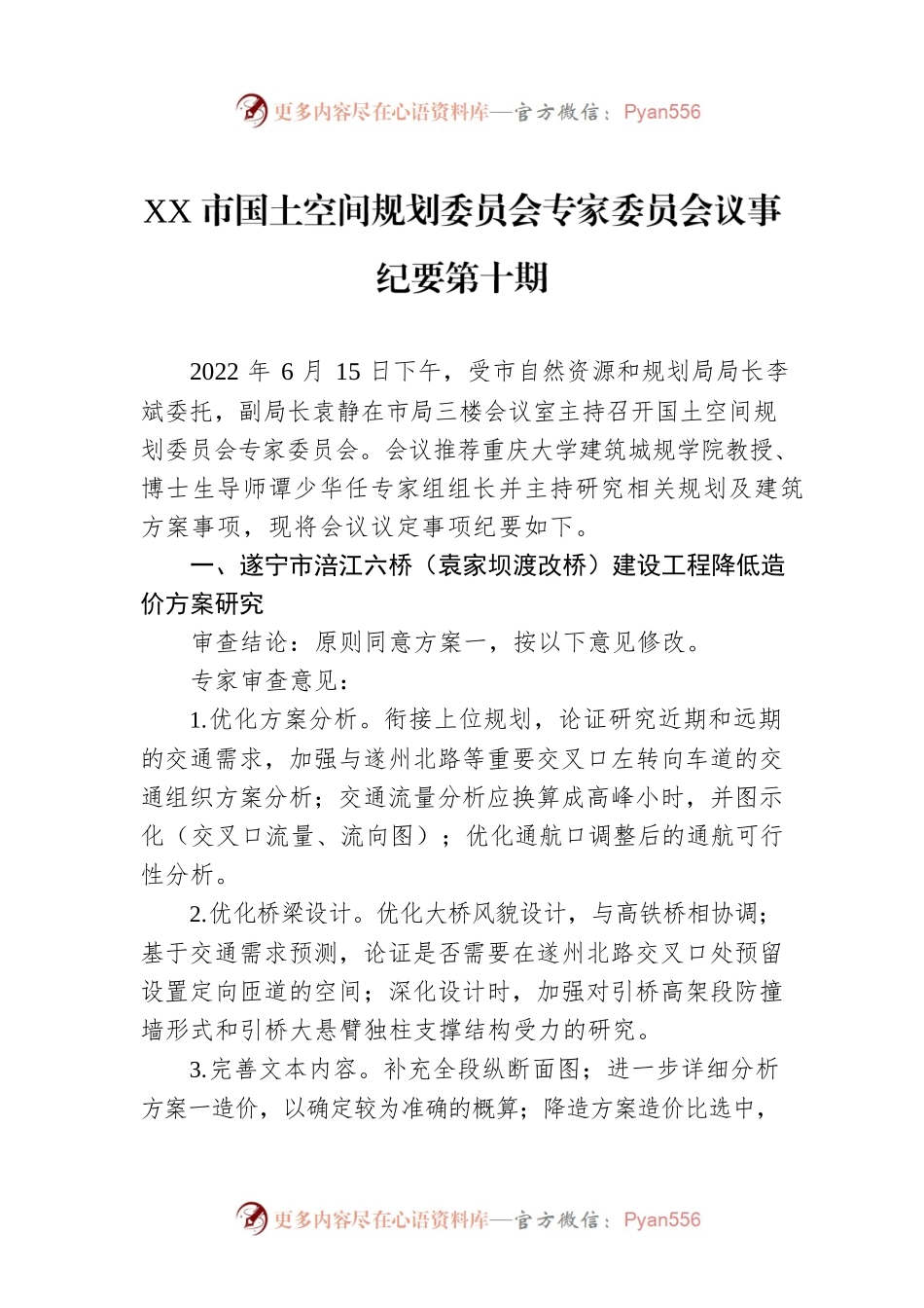 XX市国土空间规划委员会专家委员会议事纪要第十期（20220615）.docx_第1页
