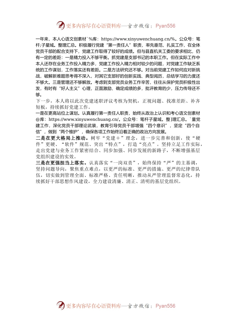 2024年度党建工作述职报告.docx_第2页