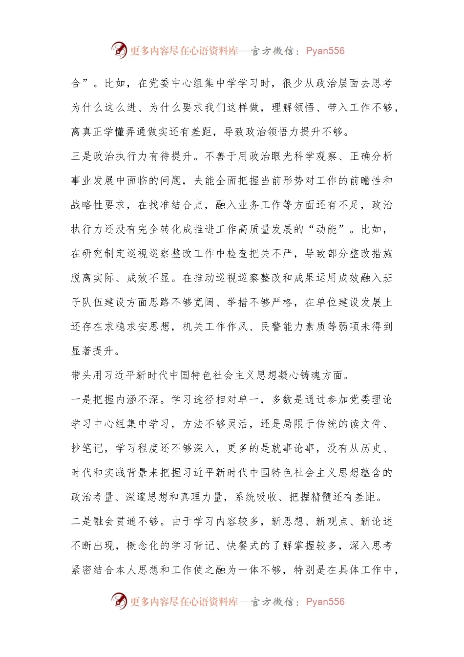 xx市公安局局长2022年度专题民主生活会个人对照检查材料.docx_第2页