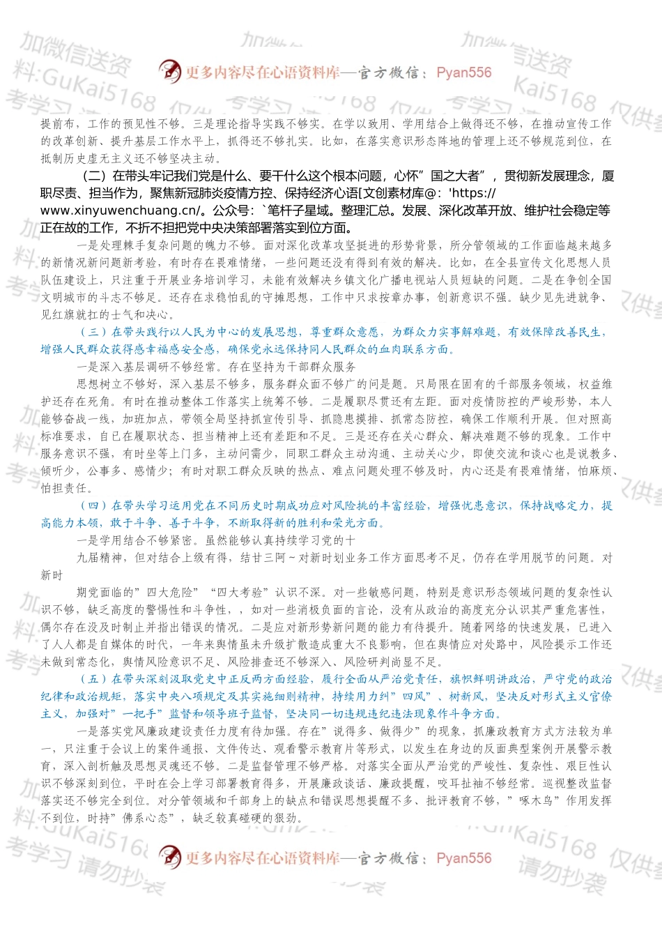 20XX年度党员干部年末专题民主生活会个人对照检查检视剖析材料（五个带头）.docx_第2页