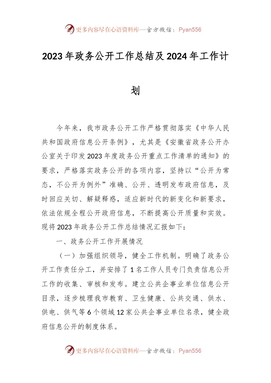 2023年政务公开工作总结及2024年工作计划.docx_第1页