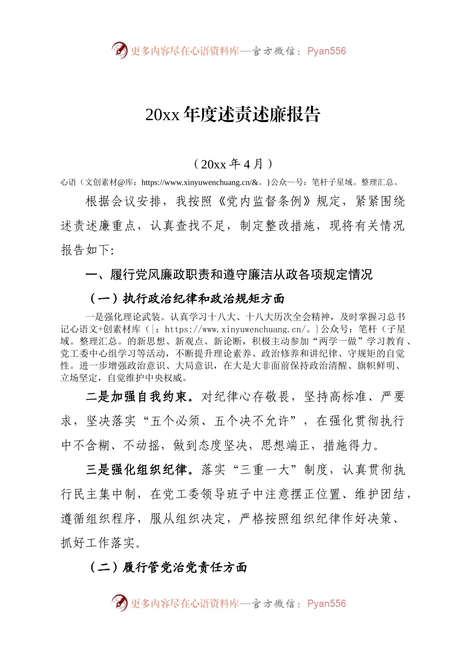 20XX年度述责述廉报告.docx_第1页