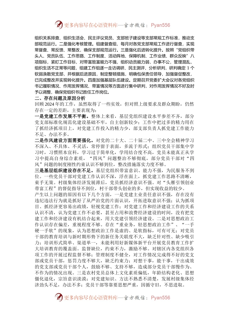 2024年度抓基层党建工作述职报告.docx_第2页