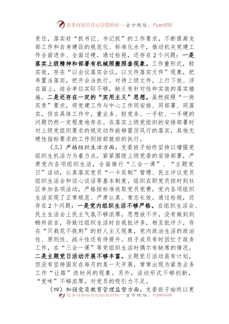 2023年度主题教育组织生活会支部班子发言稿提纲.docx_第2页