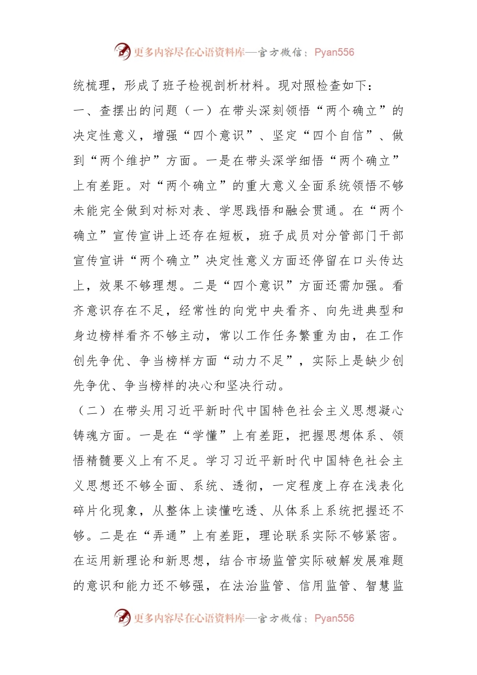 20XX年度市场监管领导班子组织生活会发言提纲.docx_第2页