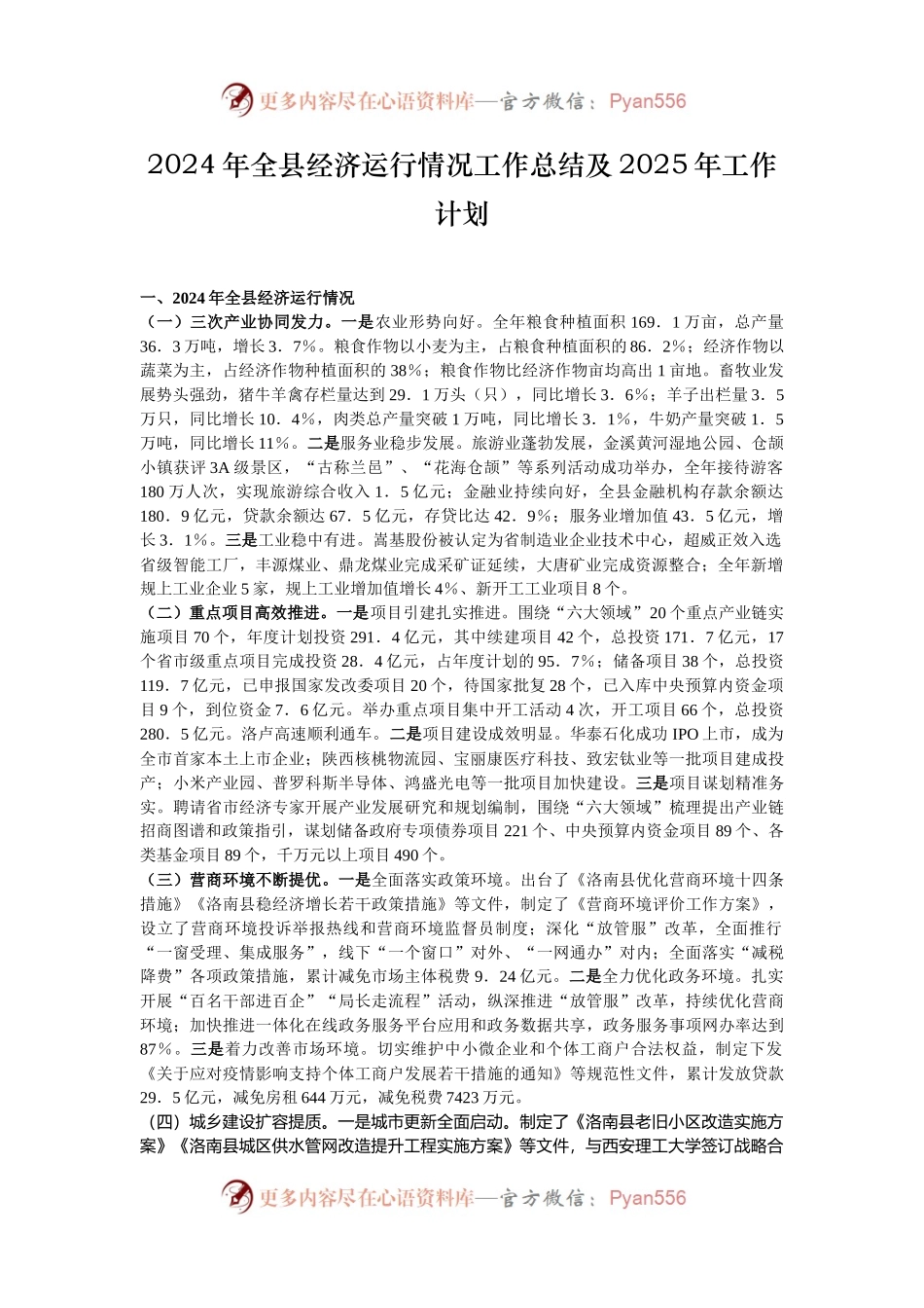 2024年全县经济运行情况工作总结及2025年工作计划.docx_第1页